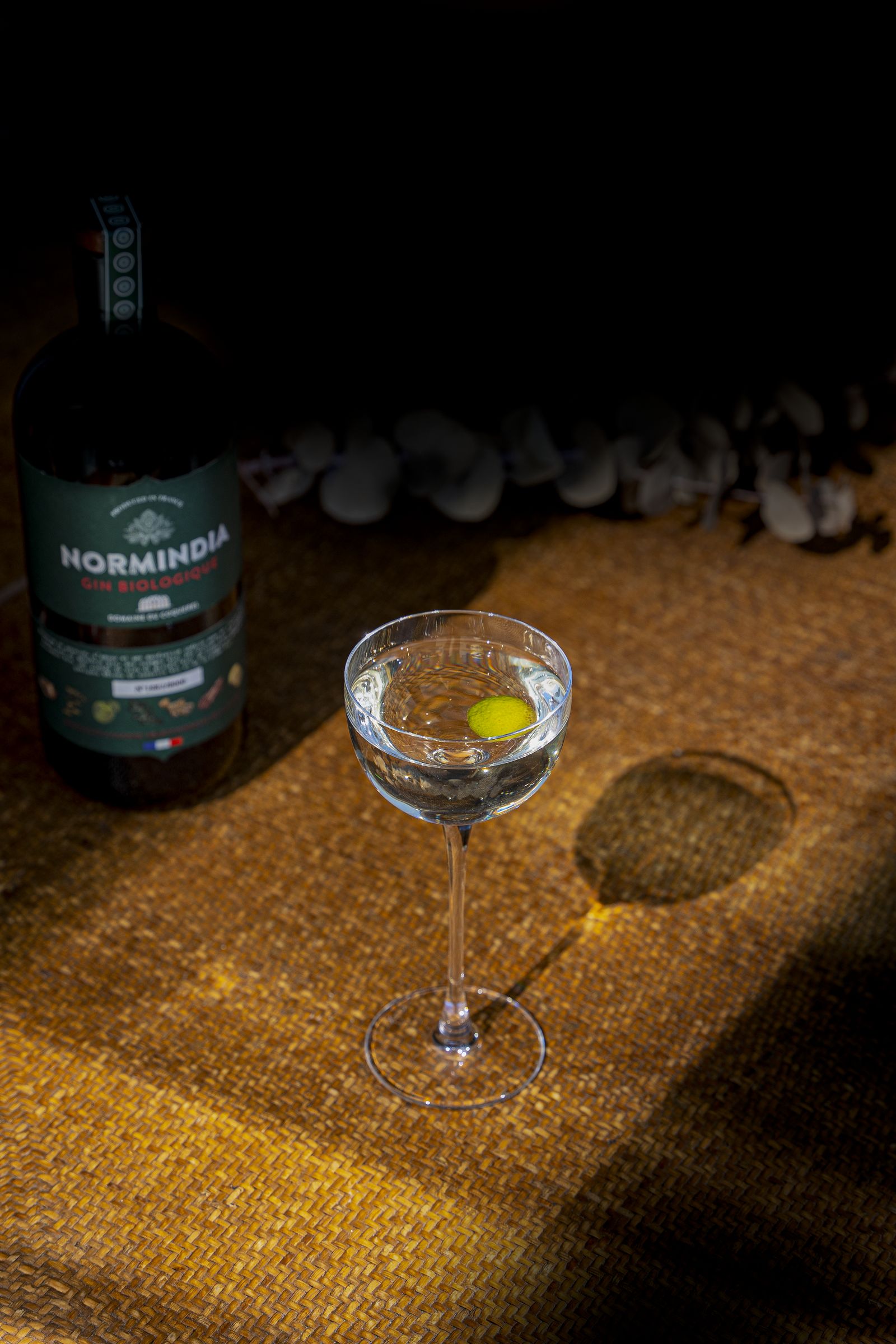 The Normindia Martini
